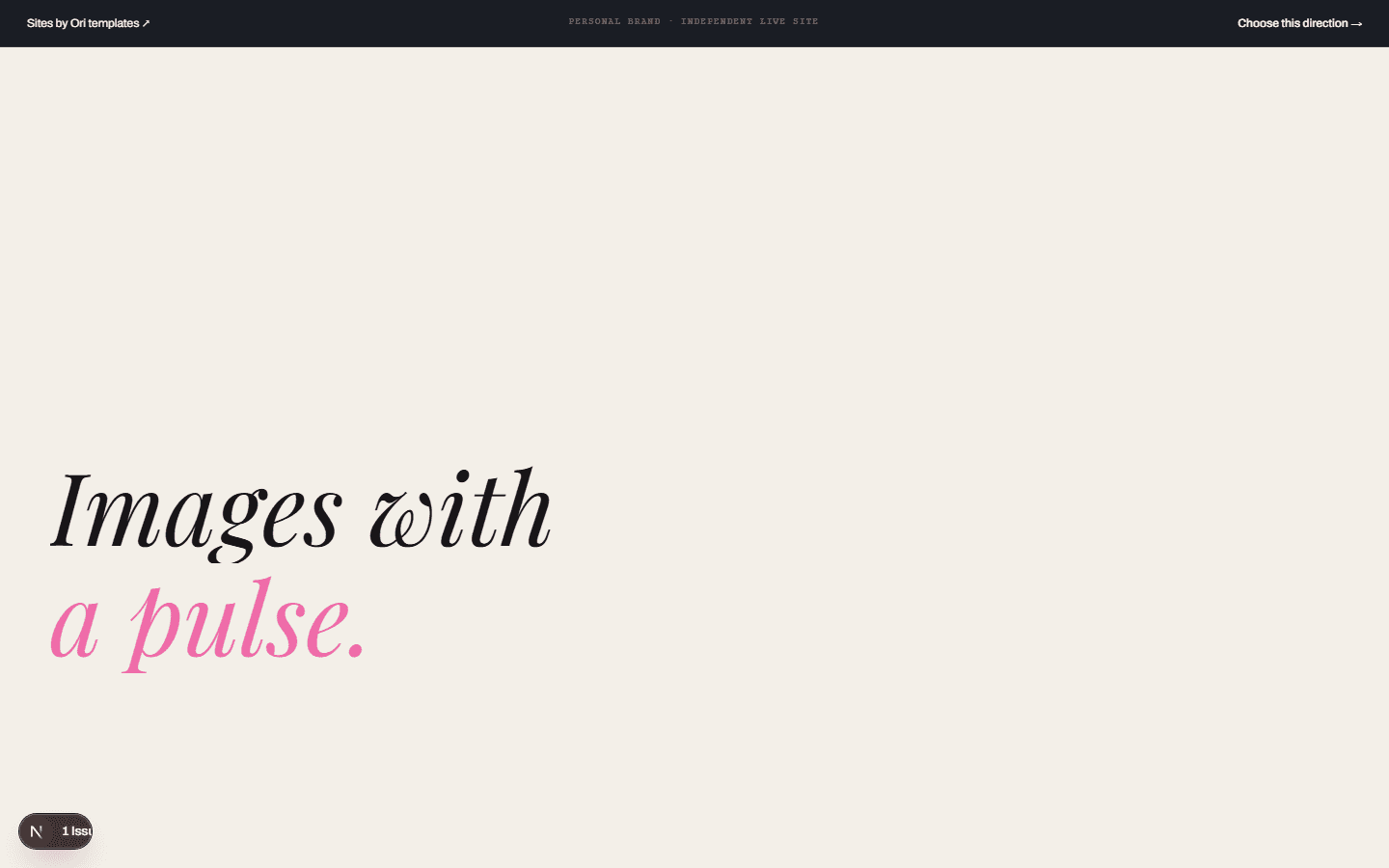Preview of the Nia Brooks website direction